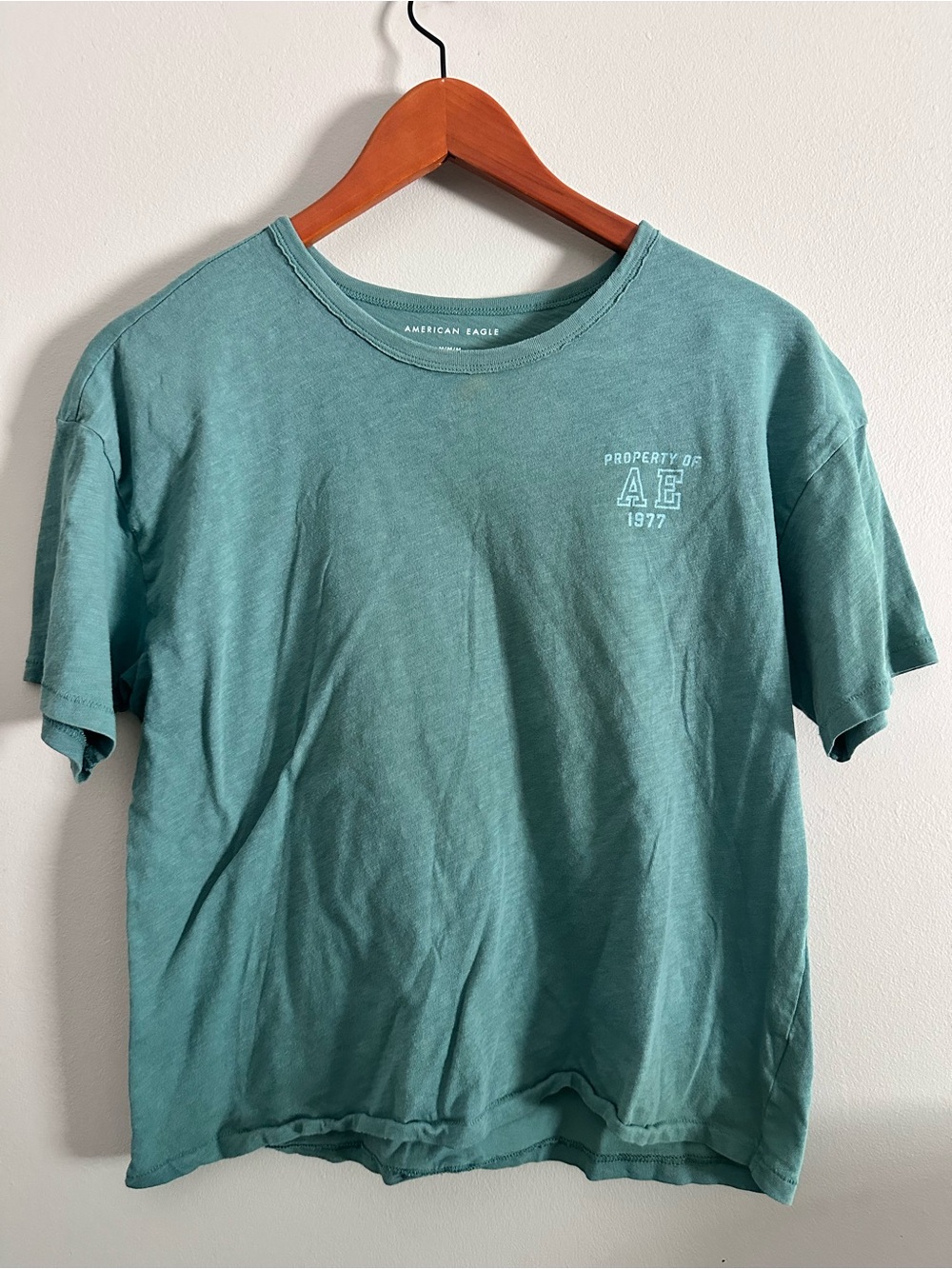American Eagle Outfitters Teal Crewneck Short Sleeve T-Shirt